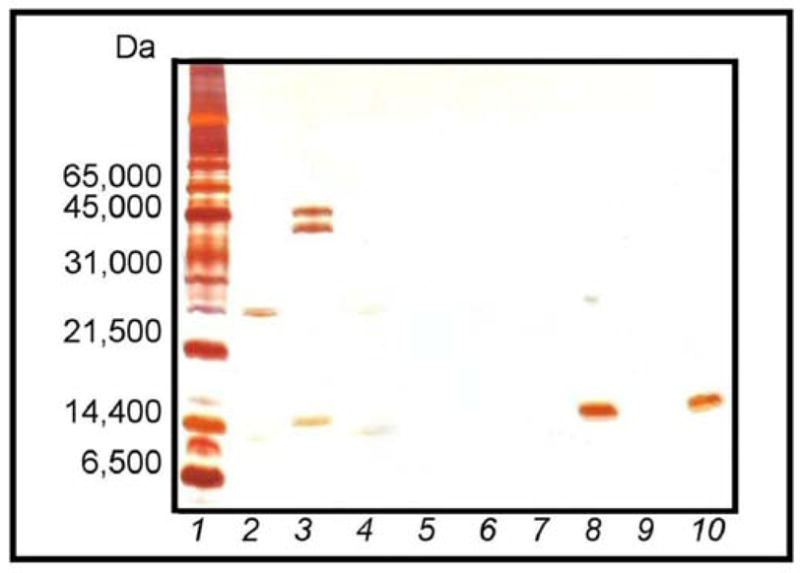 Fig. 9