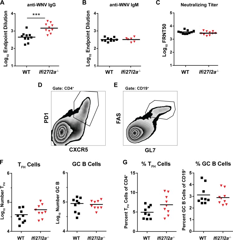 FIG 6