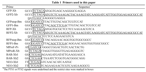 graphic file with name JZUSB09-0802-table01.jpg