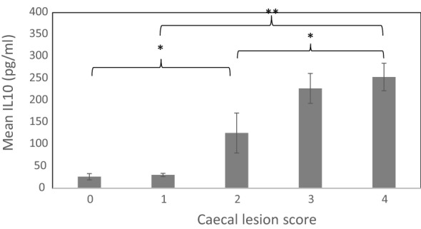 Fig. 6