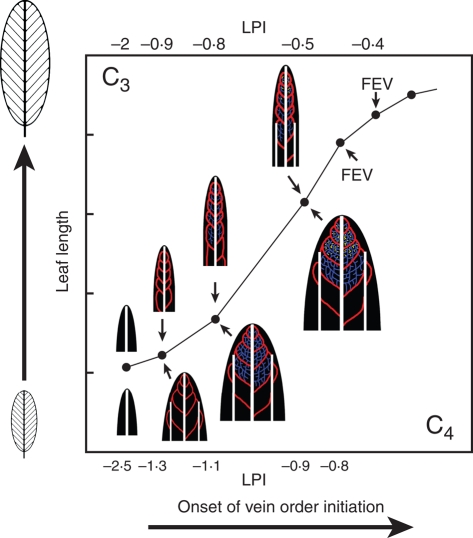 Fig. 10.