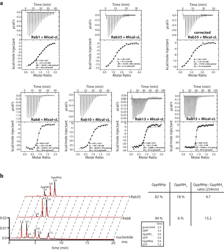 Figure 2—figure supplement 2.