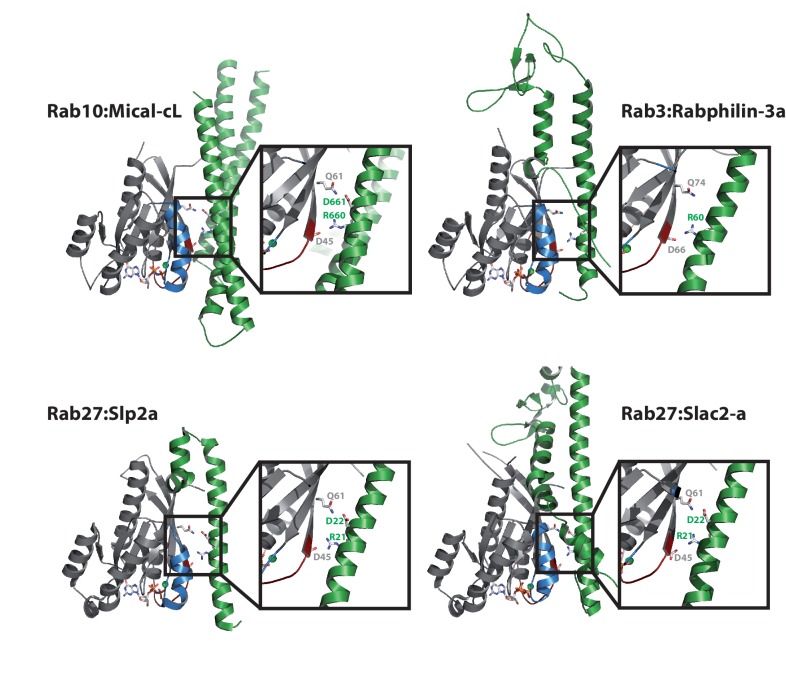 Figure 5—figure supplement 2.