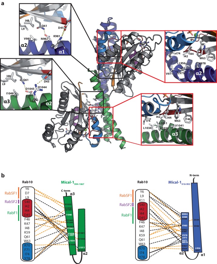 Figure 6—figure supplement 2.