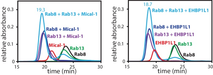 Figure 2—figure supplement 3.