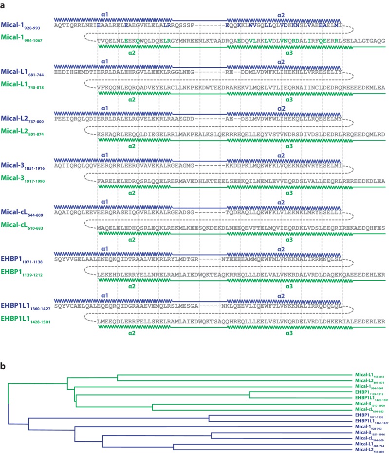 Figure 6—figure supplement 1.