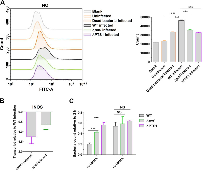 FIG 3