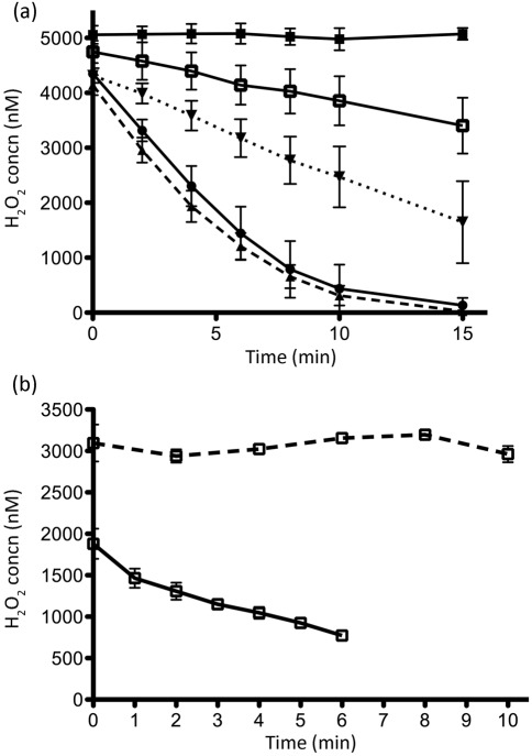 Fig. 1. 