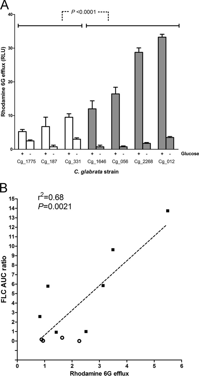 FIG 4 