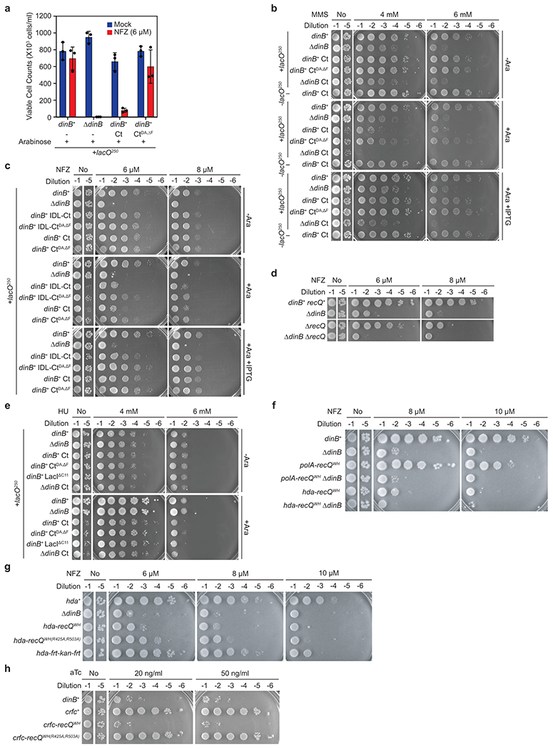 Extended Data Fig. 5