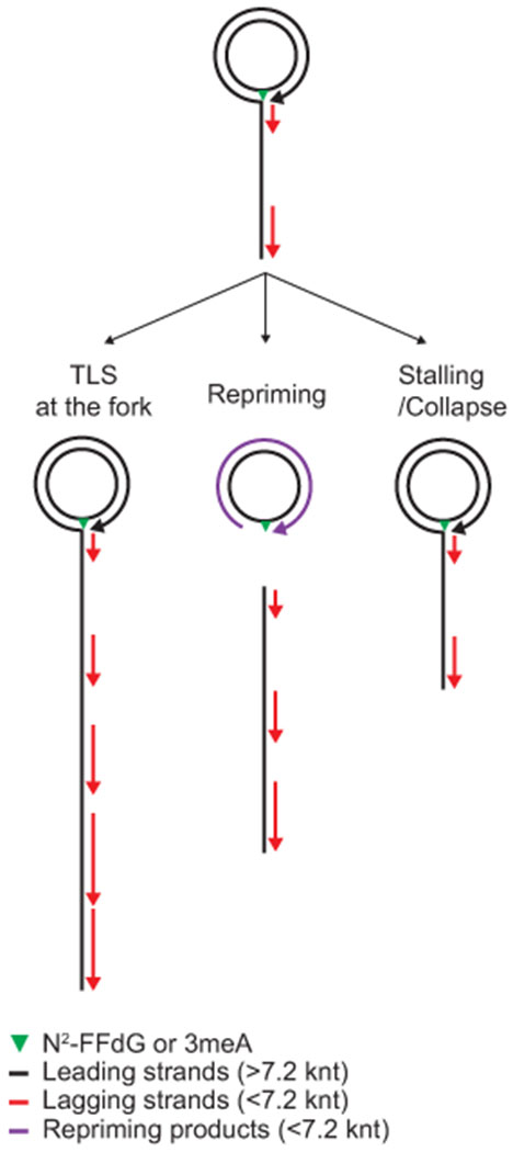 Extended Data Fig. 2