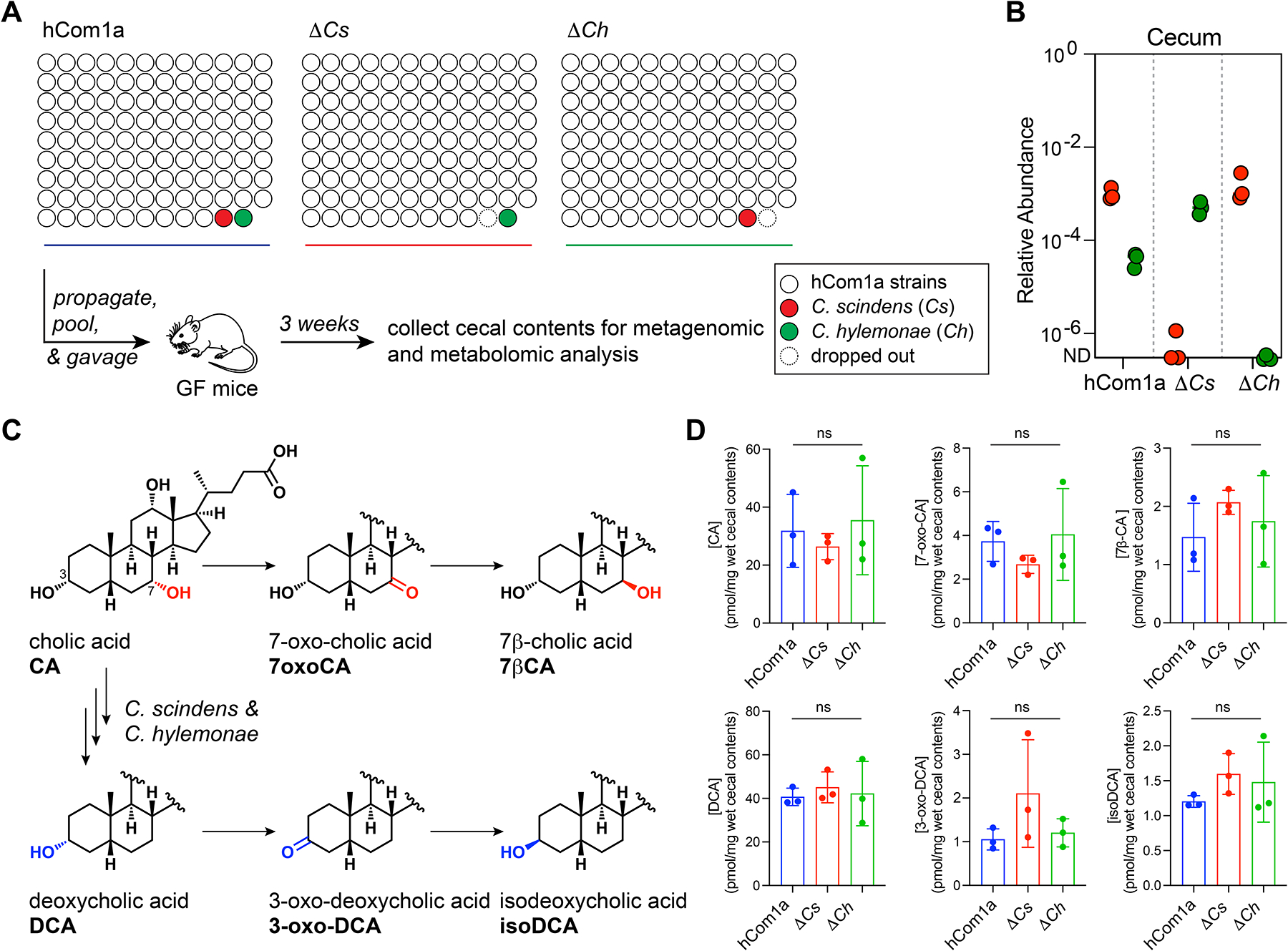 Figure 4: