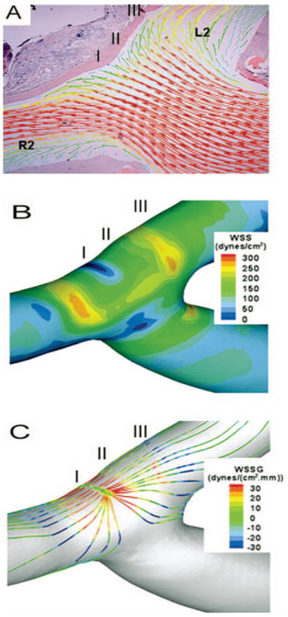 FIGURE 3