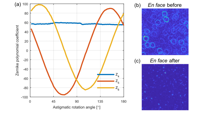 Fig. 3