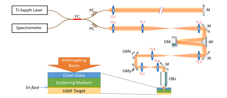 Fig. 2