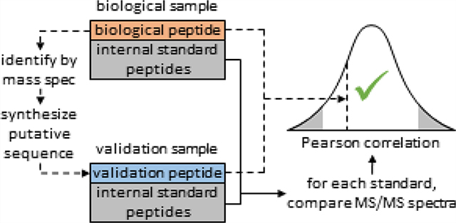 graphic file with name nihms-1634600-f0001.jpg