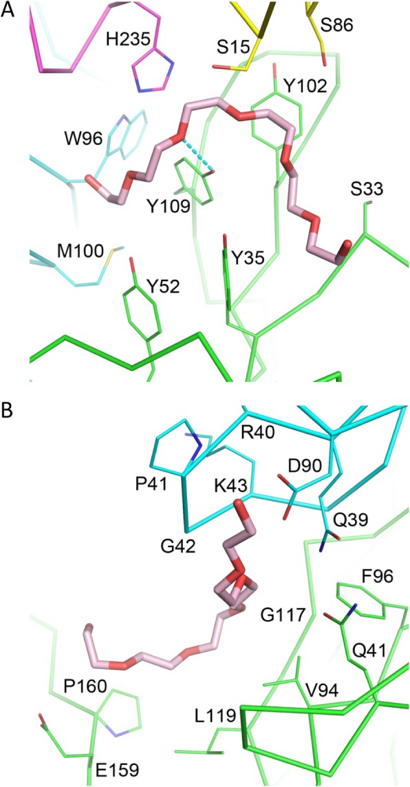 Fig. 5