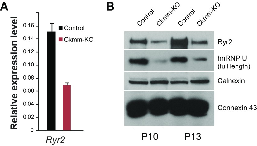 Fig. S6.