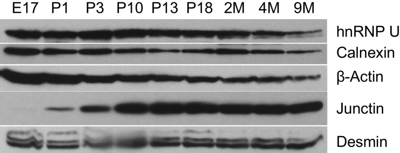 Fig. S1.