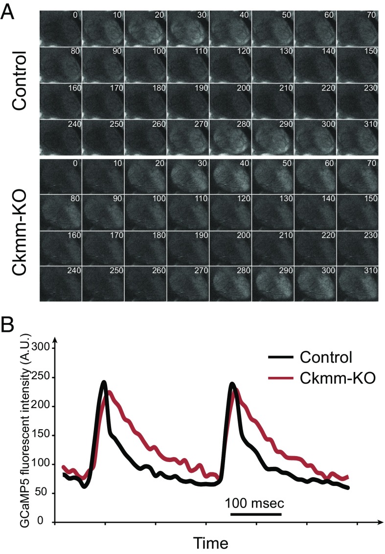 Fig. 4.