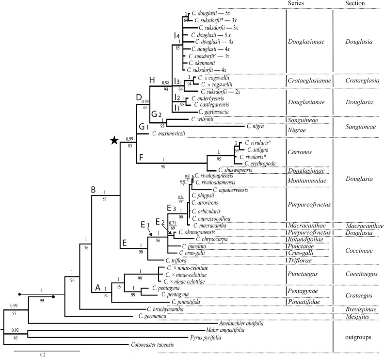 Figure 1.