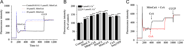 Fig. 6