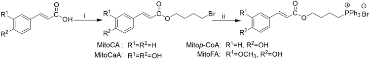 Scheme 1