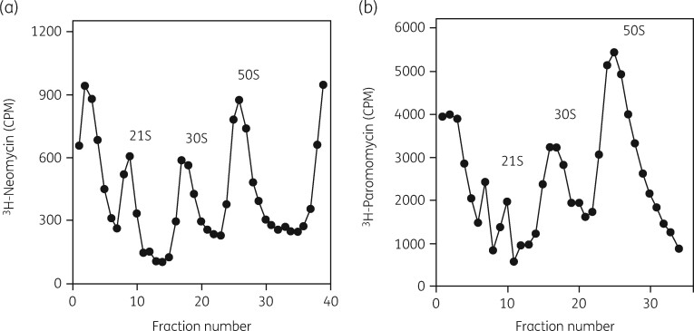 Figure 11.