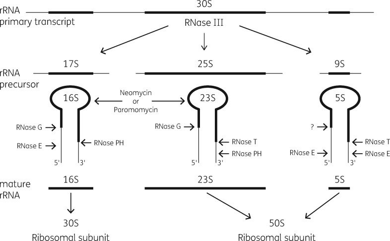 Figure 15.