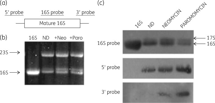 Figure 13.