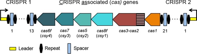 FIG 1