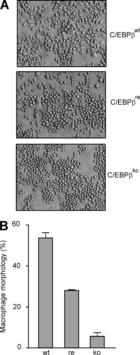 FIGURE 5.