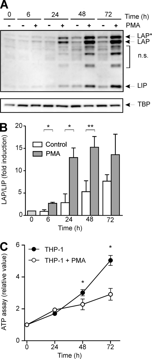 FIGURE 1.