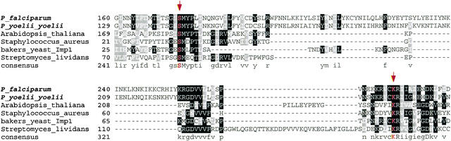 Figure 6.