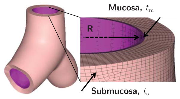 Fig. 4