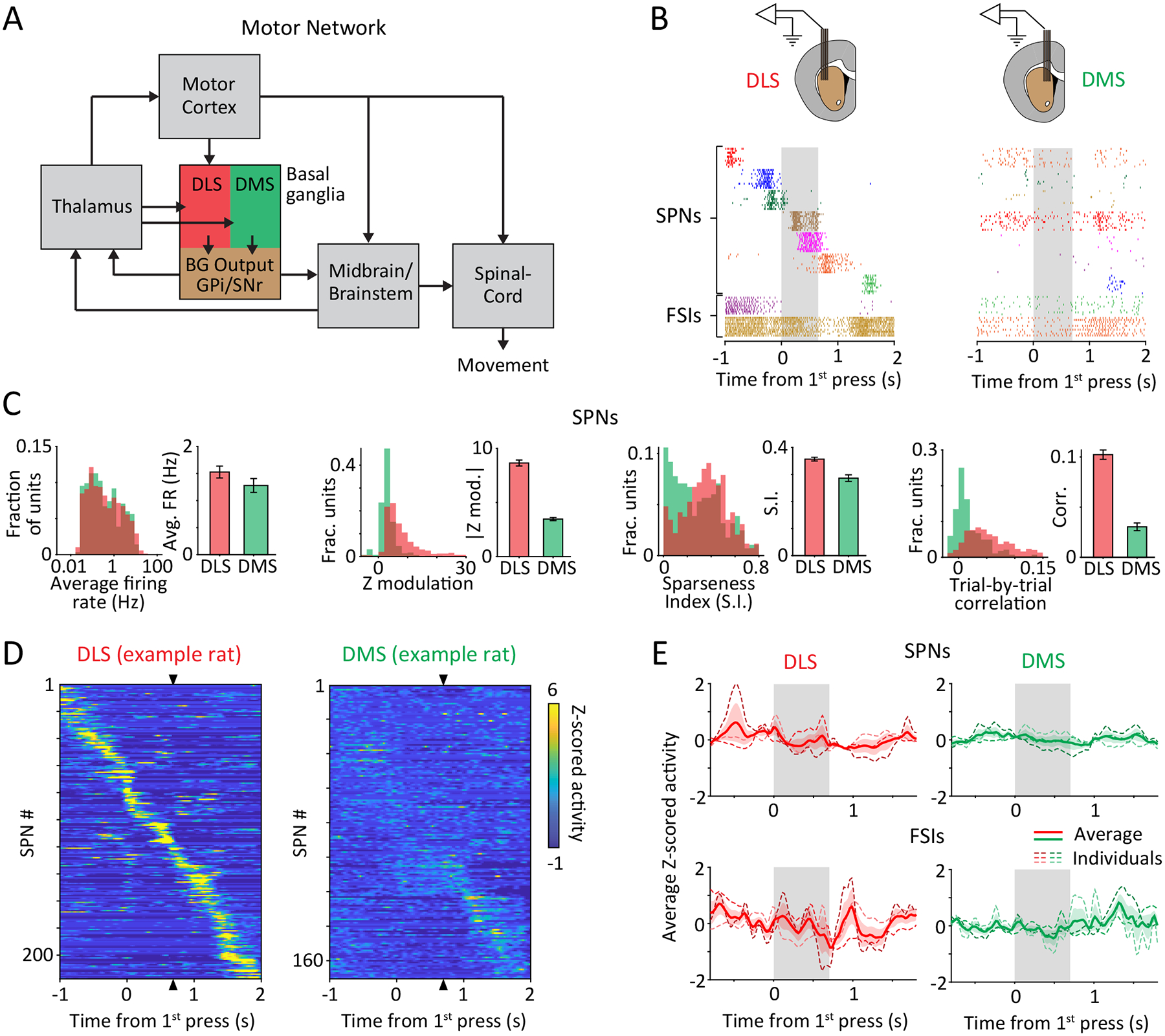 Figure 2: