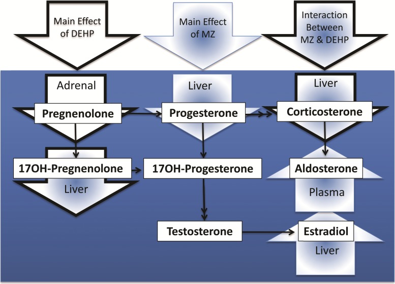 FIG. 6