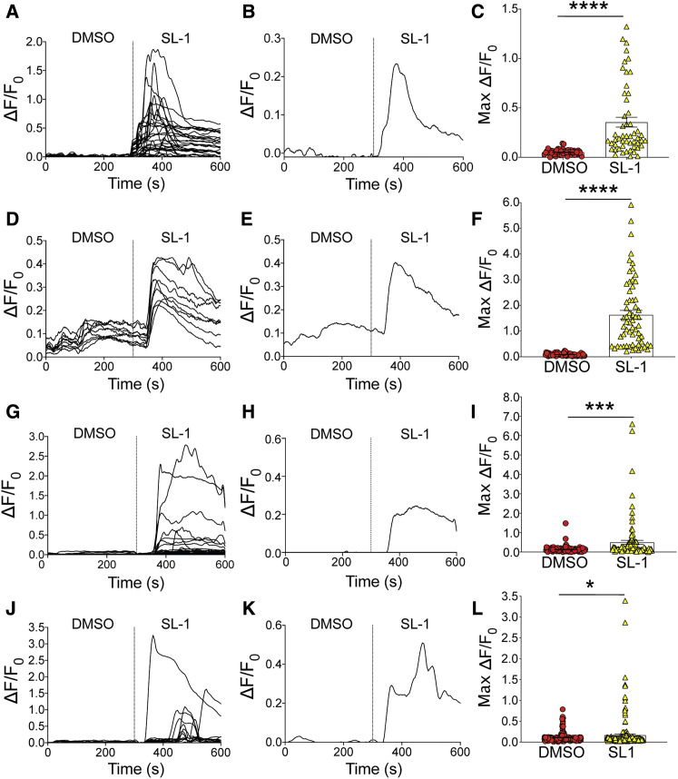 Figure 4