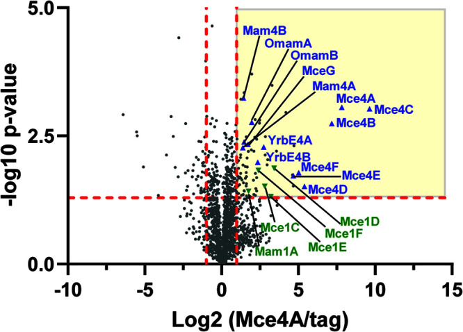 FIG 6