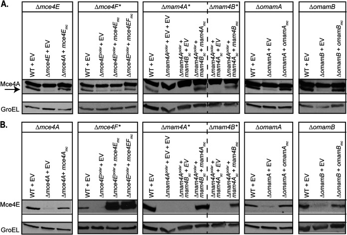 FIG 3