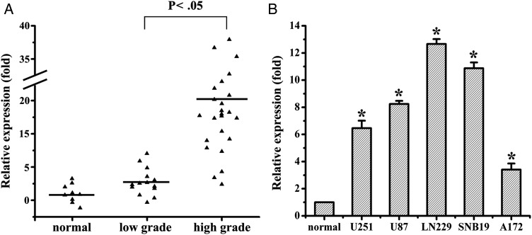 Fig. 1.