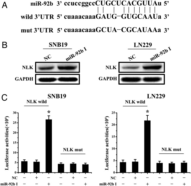 Fig. 3.