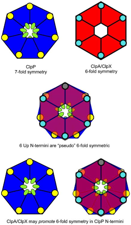 Fig. 8