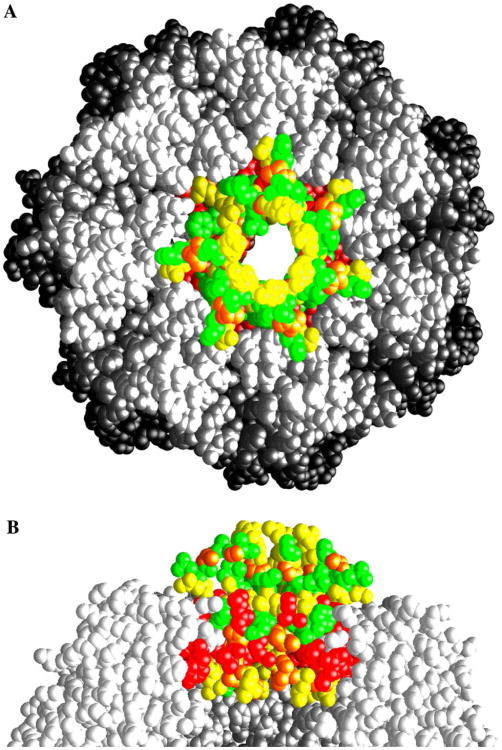 Fig. 5