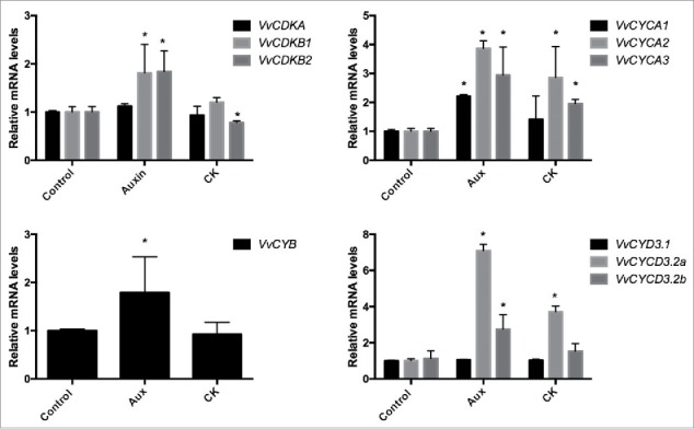 Figure 1.