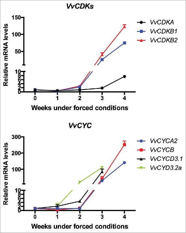 Figure 2.