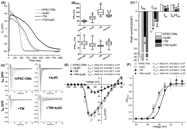 Fig. 8