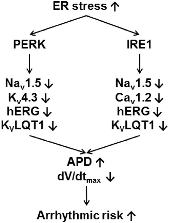 Fig. 10