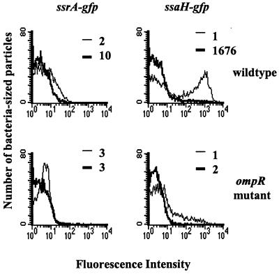 FIG. 7