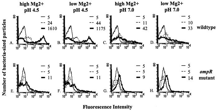 FIG. 6